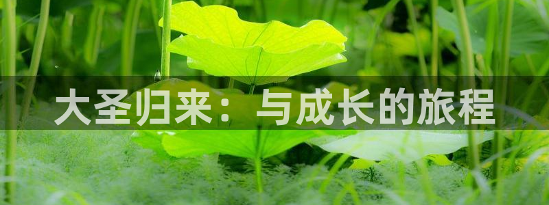 三牛娱乐挂机：大圣归来：与成长的旅程