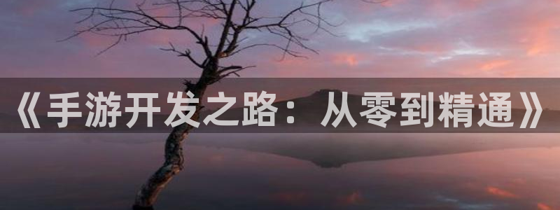 三牛娱乐是网络诈骗平台吗安全吗：《手游开发之路：从零到精通》