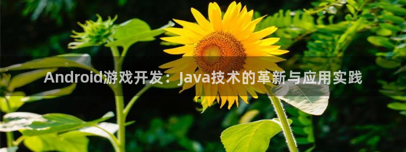 三牛娱乐负责人是谁：Android游戏开发：Java技术的革