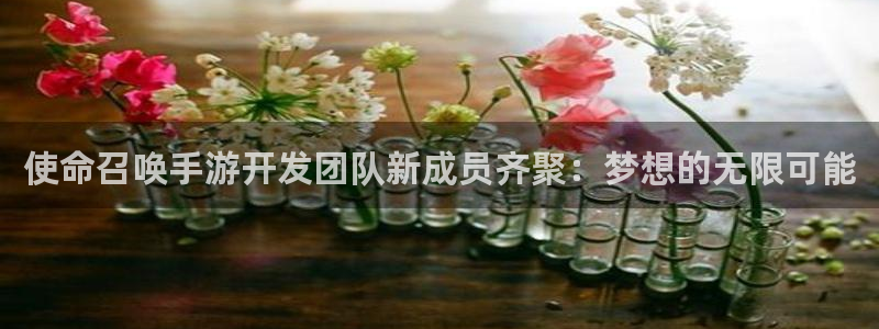 三牛娱乐：使命召唤手游开发团队新成员齐聚：梦想的无限可能
