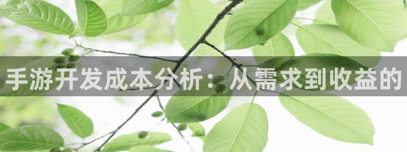 三牛娱乐是网络诈骗平台吗：手游开发成本分析：从需求到收益的