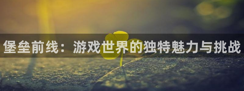 买三牛：堡垒前线：游戏世界的独特魅力与挑战