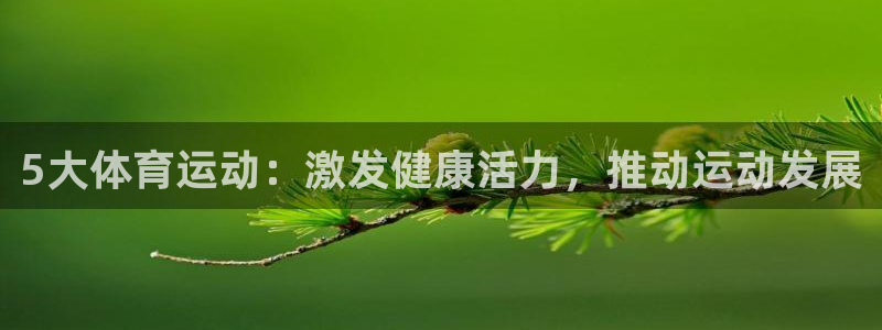 ug环球官网注册：5大体育运动：激发健康活力，推动运动发展