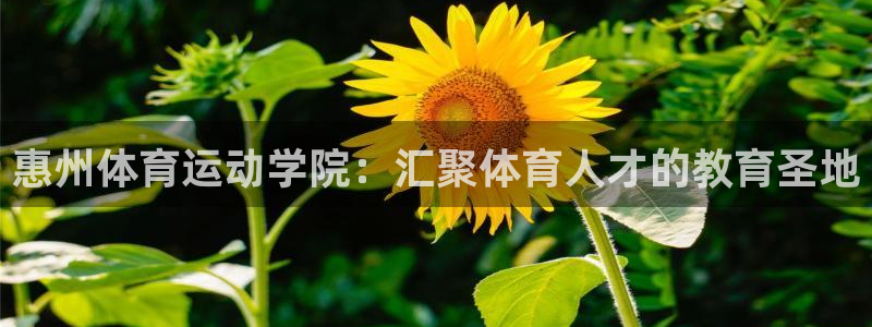 菲律宾ug环球官网：惠州体育运动学院：汇聚体育人才的教育圣地