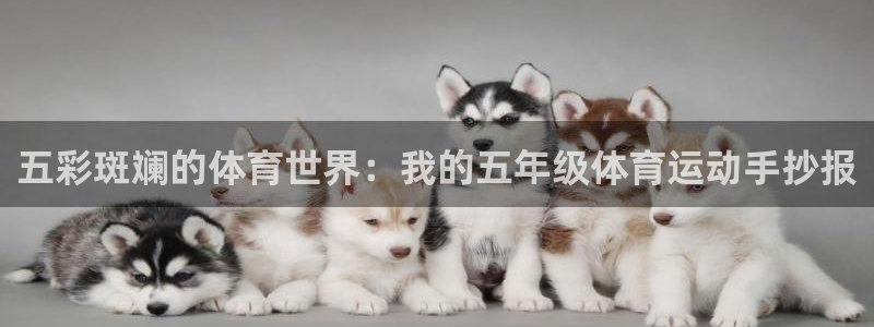 ug环球官网：五彩斑斓的体育世界：我的五年级体育运动手抄报