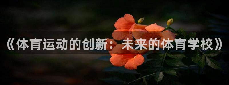 菲律宾ug环球官网：《体育运动的创新：未来的体育学校》