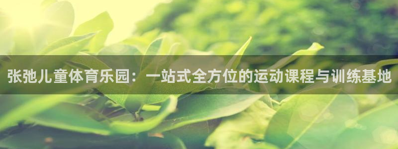 ug环球官网登录入口：张弛儿童体育乐园：一站式全方位的运动课程与训练基地