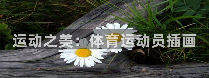 ug环球官网注册：运动之美：体育运动员插画