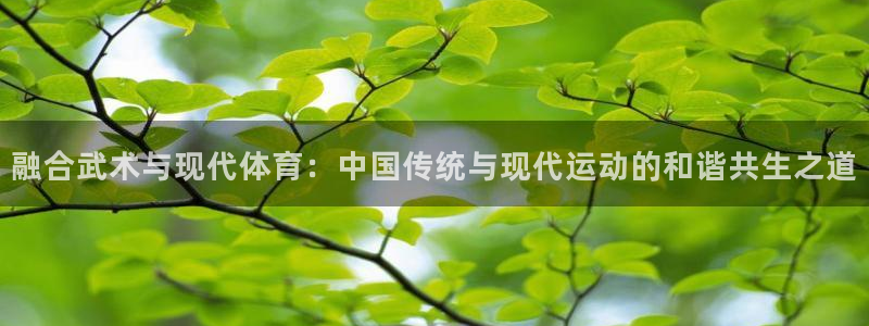 ug环球官网登录入口：融合武术与现代体育：中国传统与现代运动的和谐共生之道