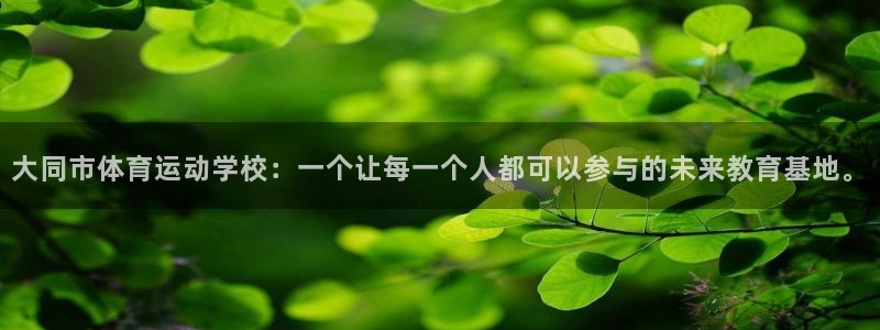ug环球官网：大同市体育运动学校：一个让每一个人都可以参与的未来教育基地。